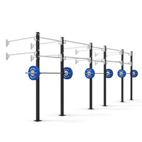 24' Wall Mount Competition 80x80 Rig