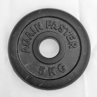 Ex Comp Kit  - Cast Iron Olympic Plate 2.5kg (each)
