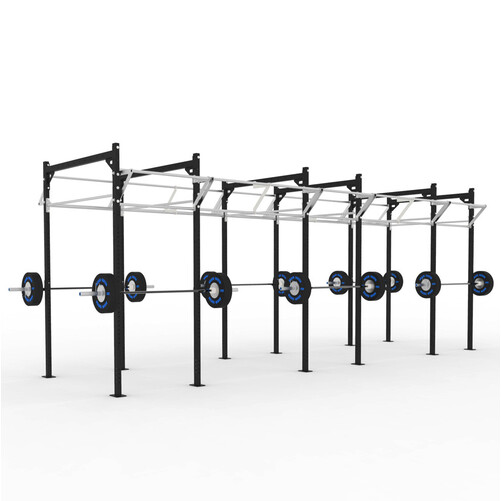 24' Free Standing Team 2x3 Plus Rig